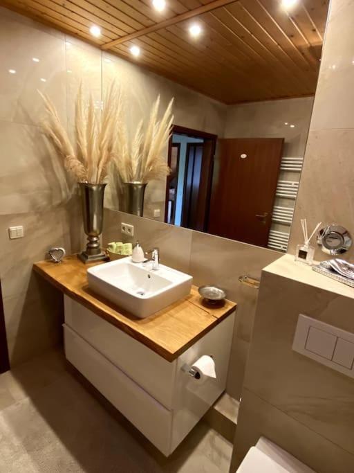 Live Joy- 3 Zimmer Wohnung Swisttal Esterno foto